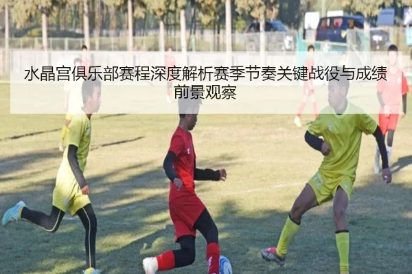 水晶宫俱乐部赛程深度解析赛季节奏关键战役与成绩前景观察