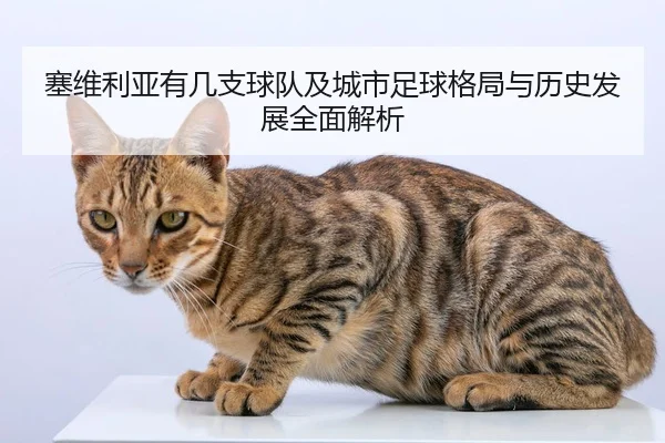 塞维利亚有几支球队及城市足球格局与历史发展全面解析
