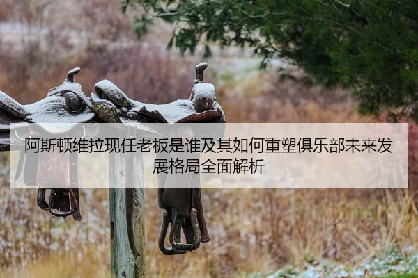 阿斯顿维拉现任老板是谁及其如何重塑俱乐部未来发展格局全面解析