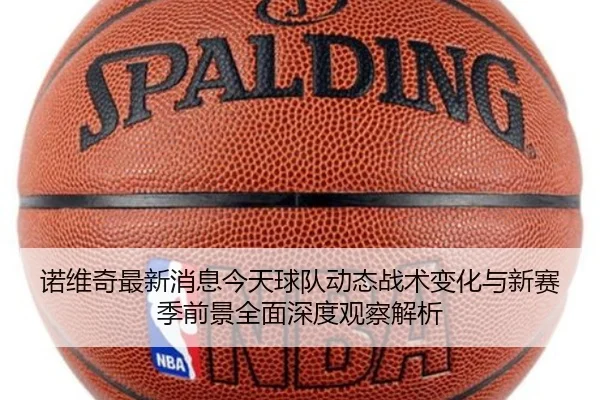 诺维奇最新消息今天球队动态战术变化与新赛季前景全面深度观察解析